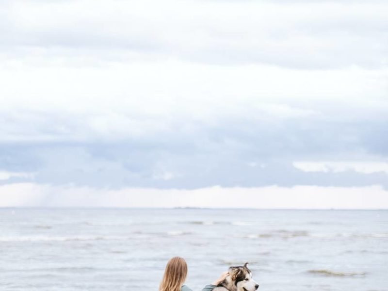 woman sitting in a beach bench with her pet