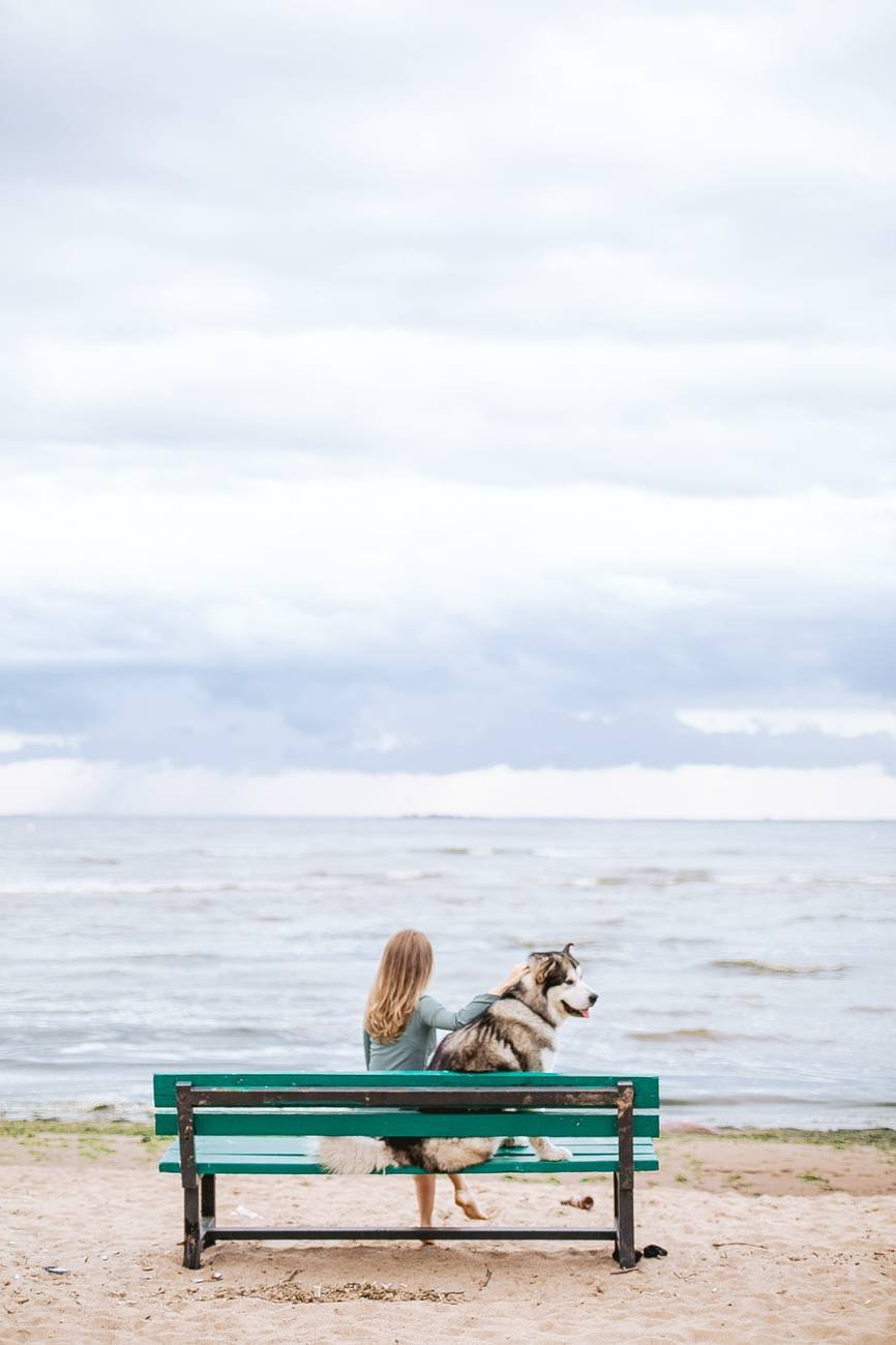 woman sitting in a beach bench with her pet